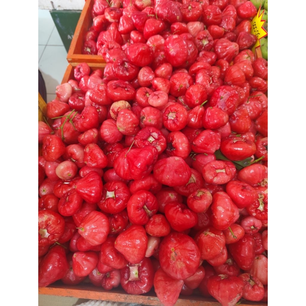 Jambu air merah 1kg