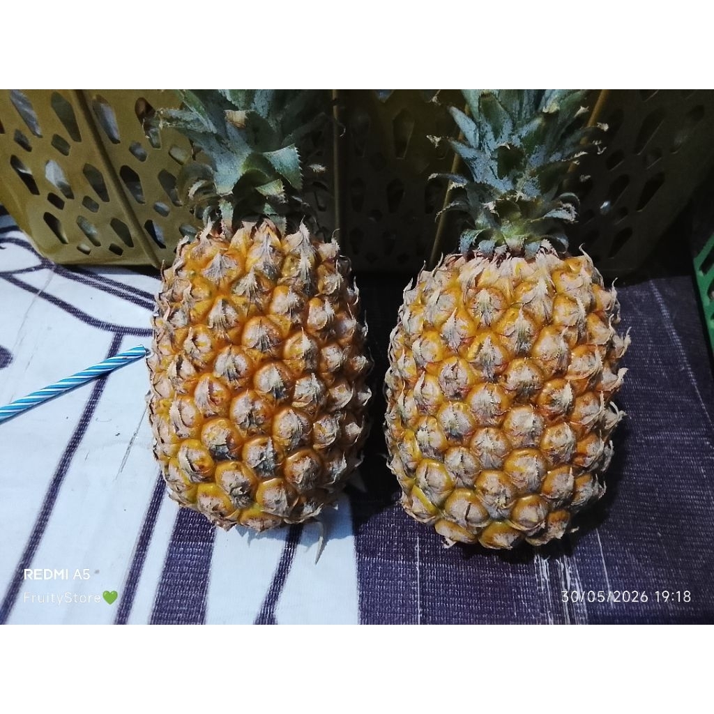 NANAS MADU 1KG DAPAT 2 ASLI BLITAR