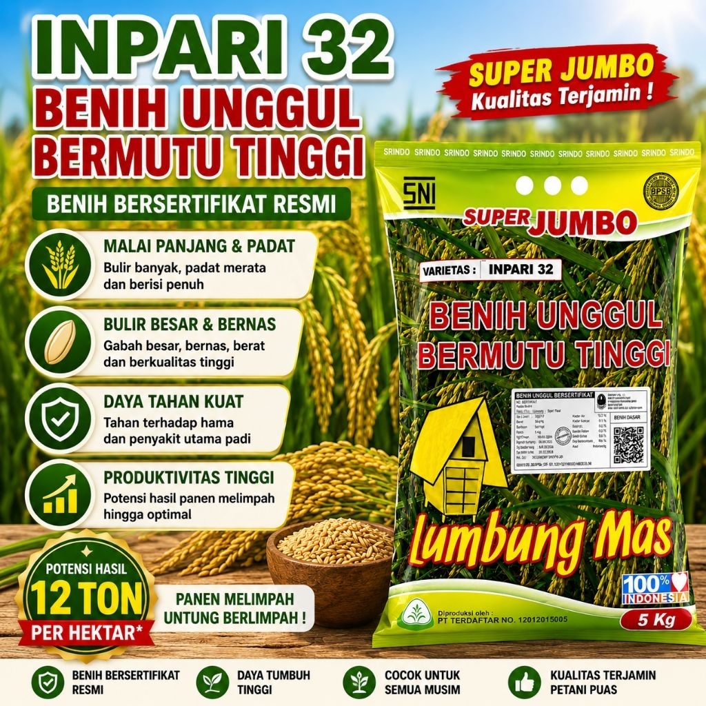 5Kg Benih Padi INPARI 32 Super Jumbo Original – Bersertifikat Resmi label Putih Bisa di tanam Tiga k