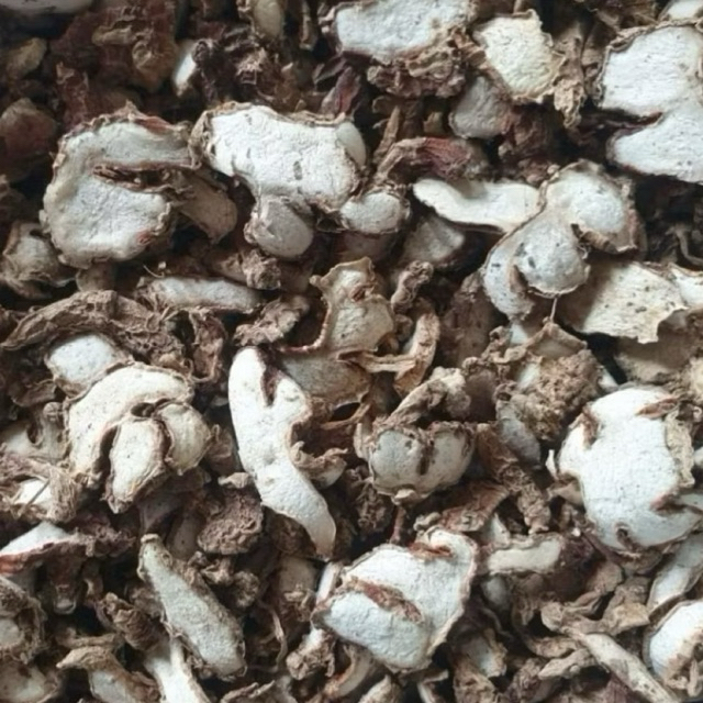 Lempuyang kering 1 kg