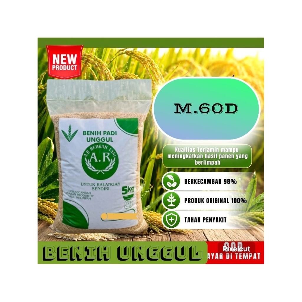 benih padi unggul M.60D bibit padi berkualitas premium kemasan 5kg