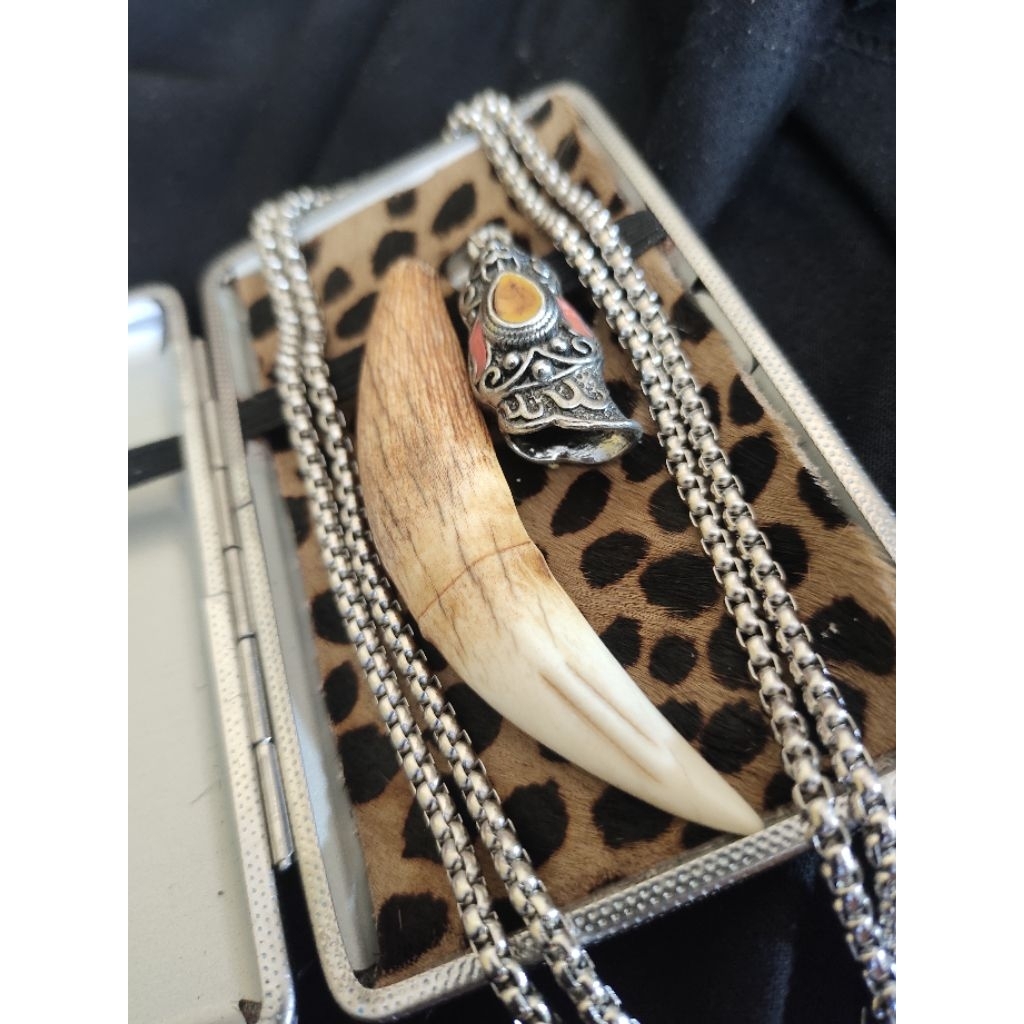 Kalung Rantai Titanium Roll Liontin Ring Taring Macan Tutul