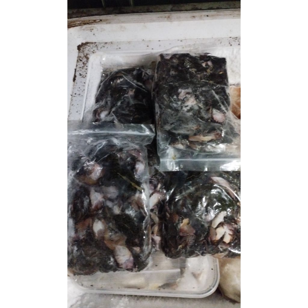 Katak beku Percil Beku Katak Frozen Percil Frozen Isi 50 Per Bungkus