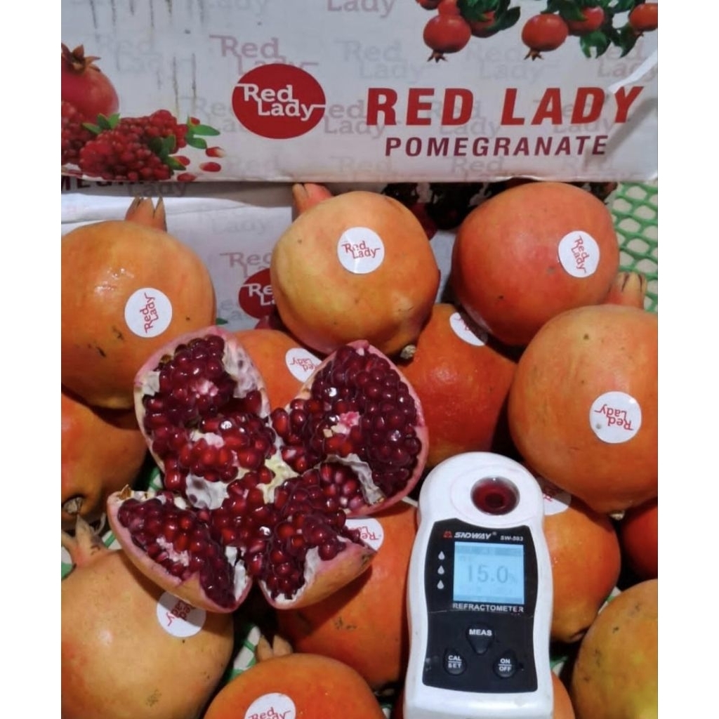 delima India / buah delima import fresh segar per kg