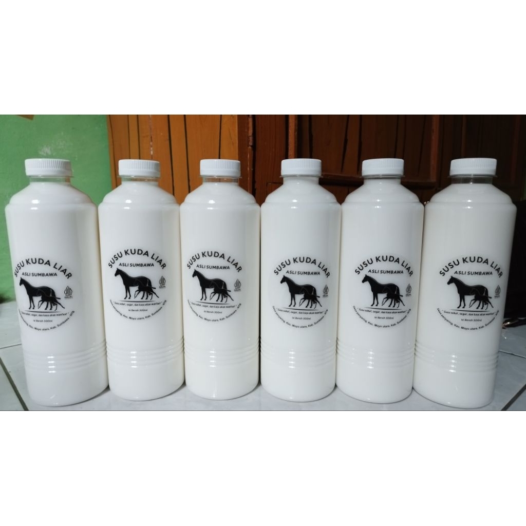 susu kuda liar sumbawa