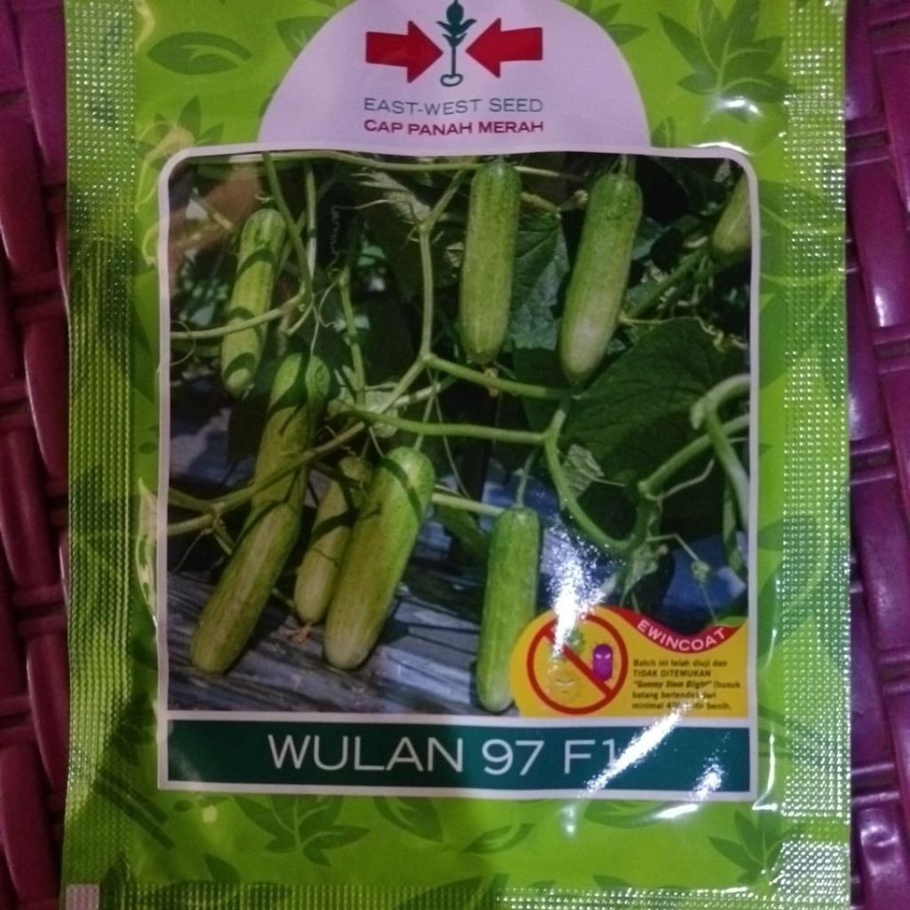 BENIH TIMUN WULAN 97  F1