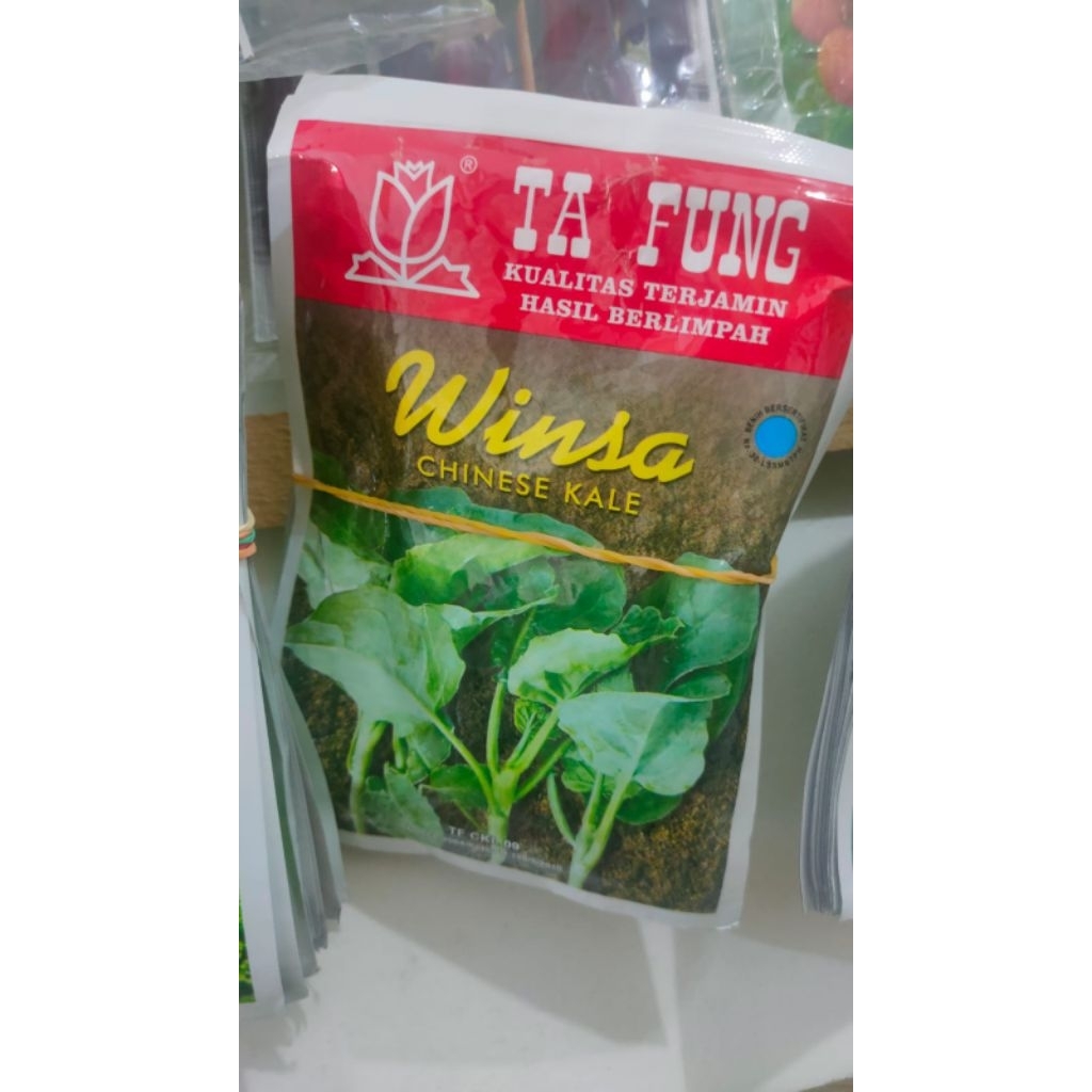 Benih Kailan Winsa 20 gr