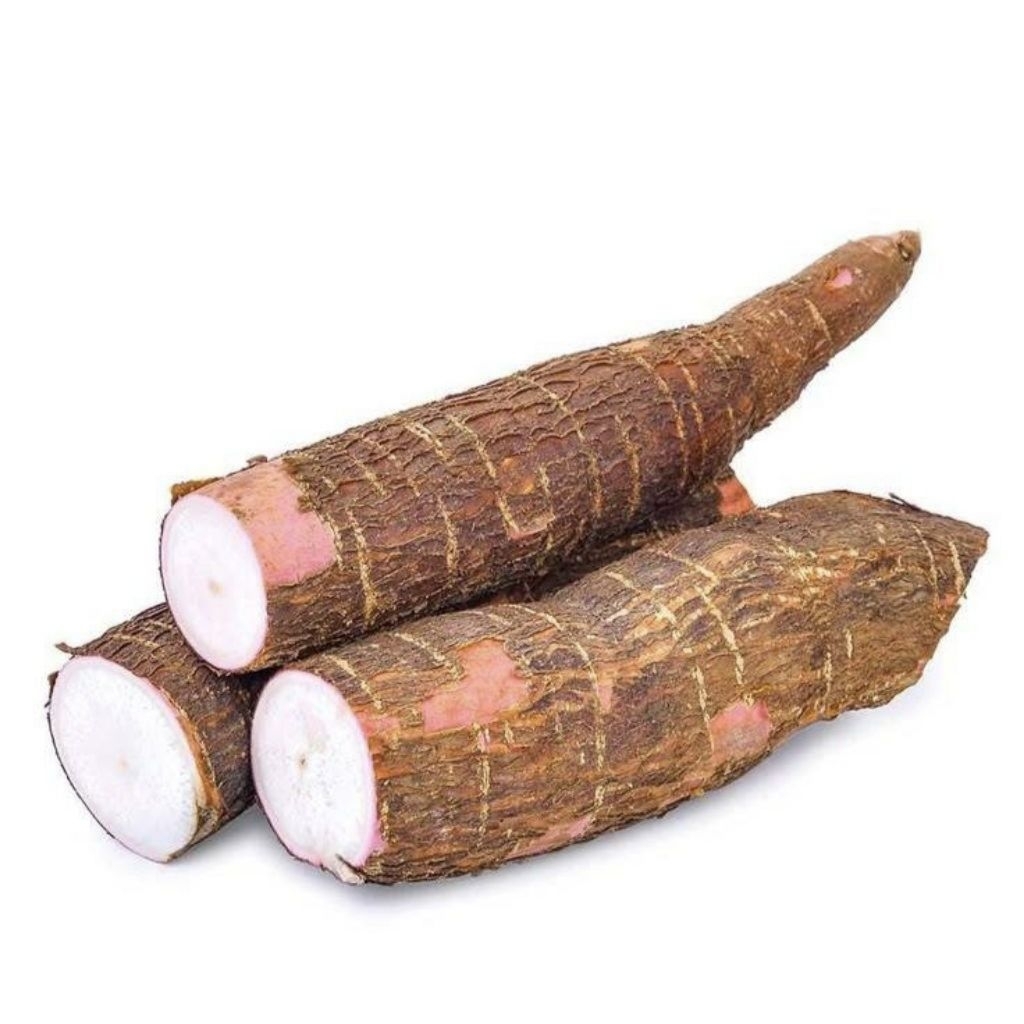 Singkong Mentah / Ubi Singkong - Bogor