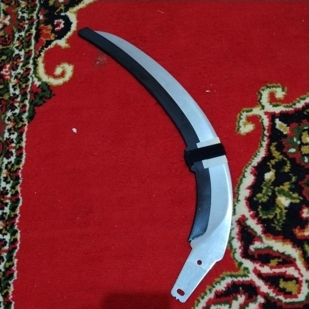 Mata egrek camel king 11
