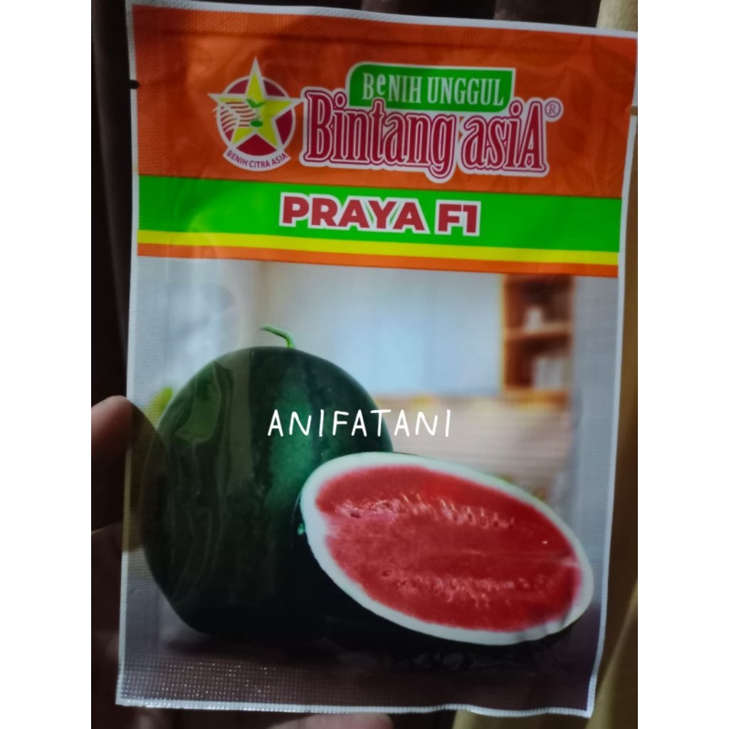 semangka PRAYA F1 bulat berbiji