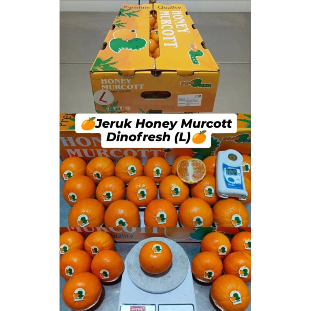 Jeruk Mandarin Honey Murcot 1 dus