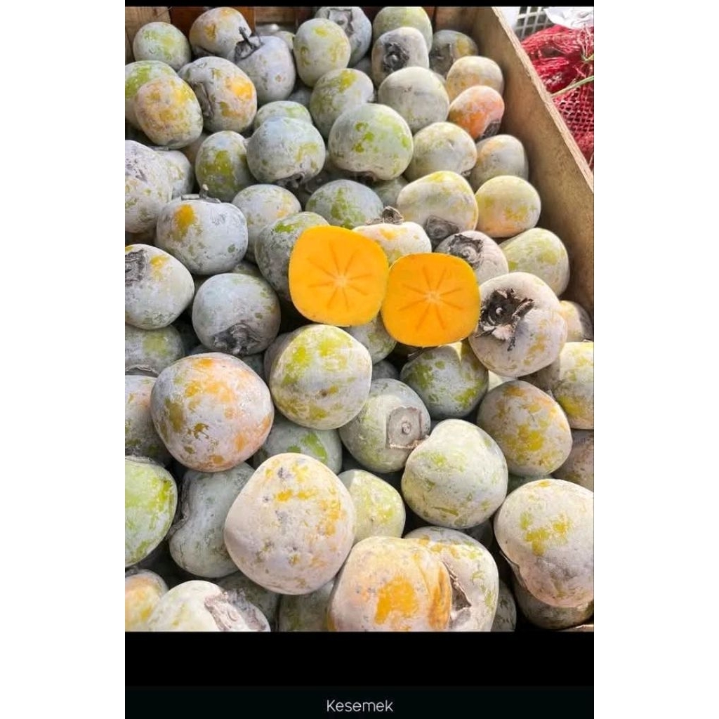 buah kesemek fresh 1kg