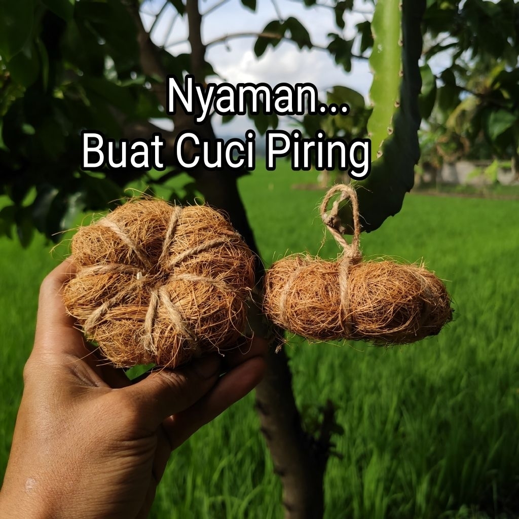 Sabut Cuci Piring Jadul Sabut Kelapa 