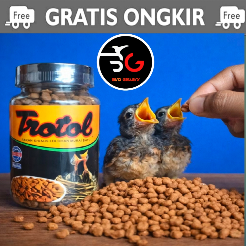 TROTOL PREMIUM EBOD JAYA VOER TROTOL LOLOH BURUNG MURAI
