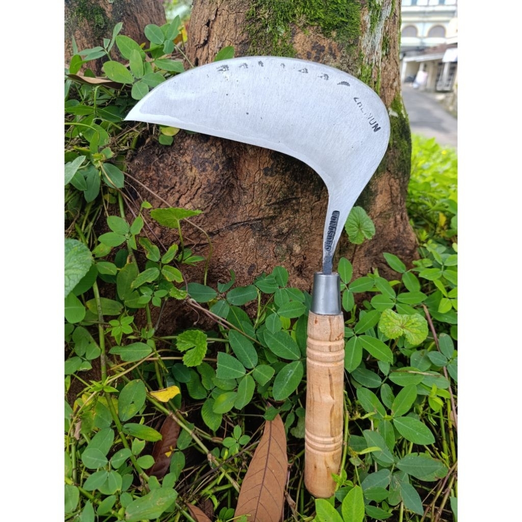 arit rumput model Bagong baja isen wonosobo
