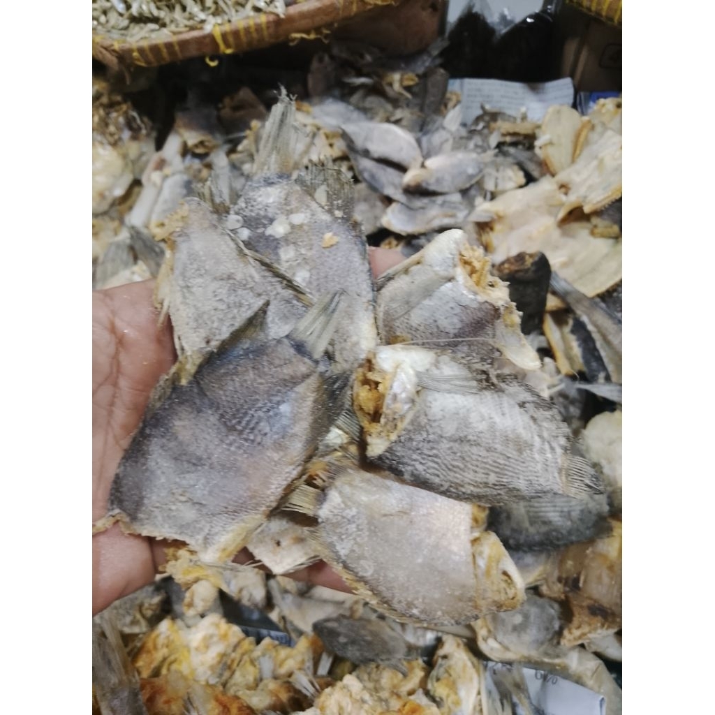 ikan asin tembakang
