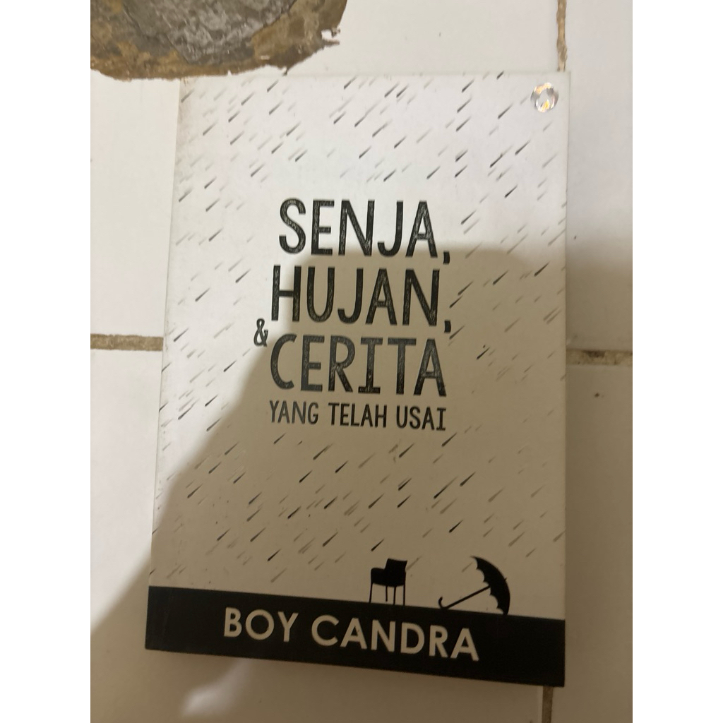 Novel karya boy candra