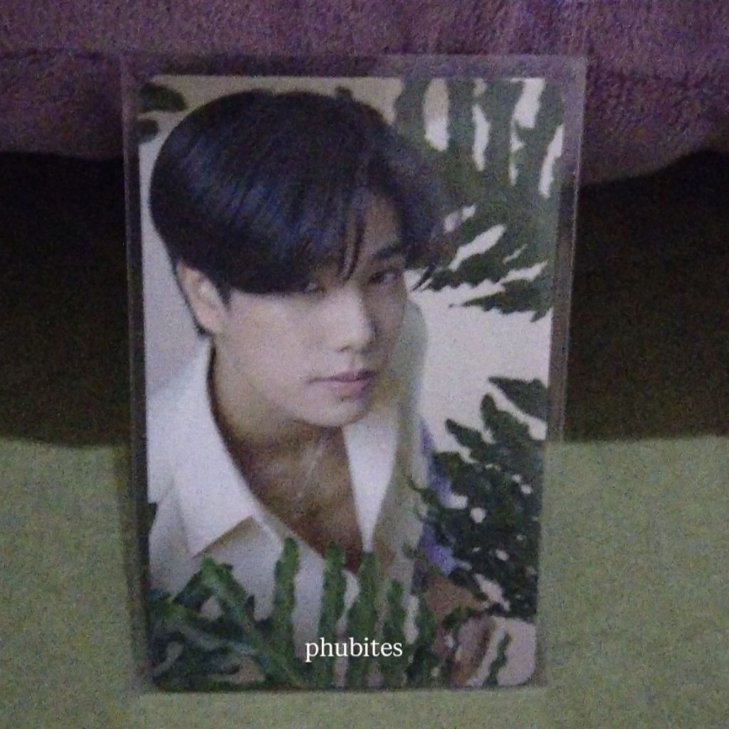 READY PHOTOCARD PC BLOOMING SERIES PHUWIN GMMTV OFFICIAL
