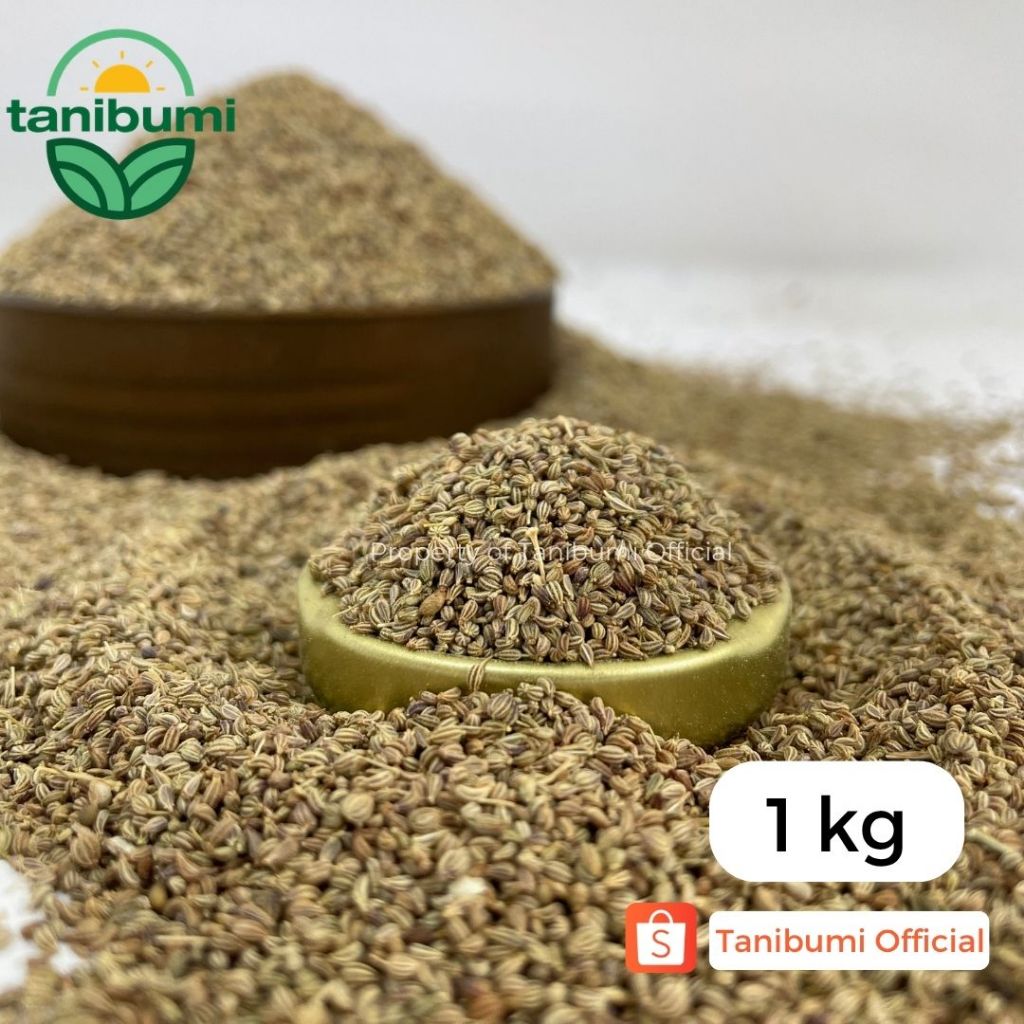 1Kg | Grosir Ajwain Seed | Carom Seed | Mungsi | Jemuju | Lemuju