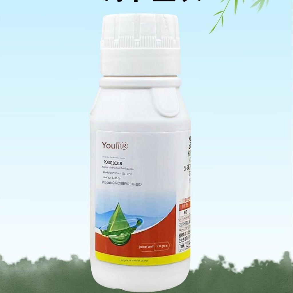 ZPT Sodium Nitrophenolate (SNP) Aktivator Sel Tanaman Mempercepat Pertumbuhan, Meningkatkan Pembunga