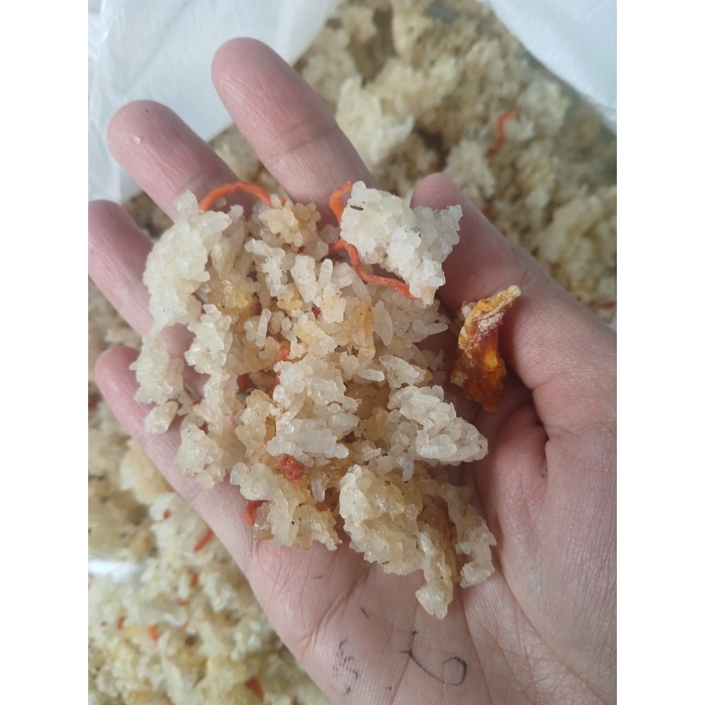 Nasi karak/nasi aking/nasi kering