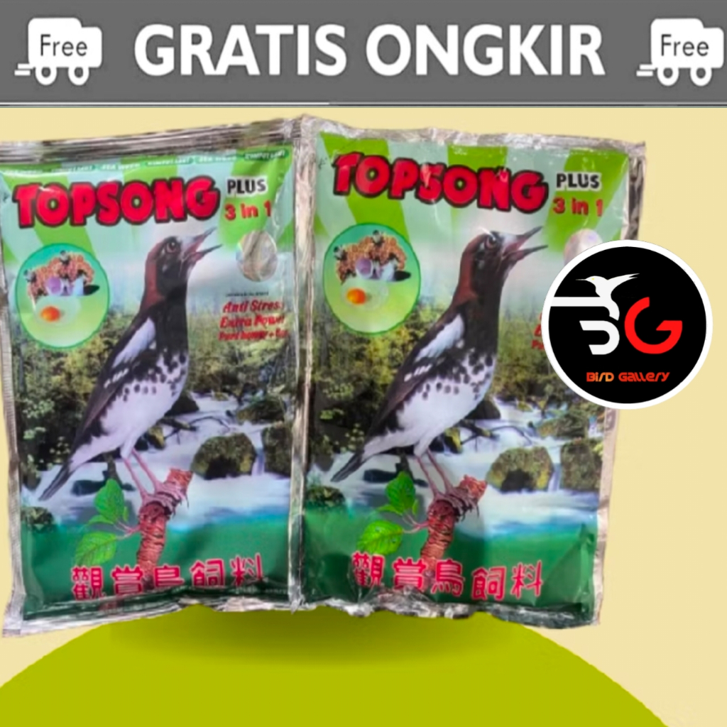 VOER  TOPSONG PLUS 3 IN 1 PUR TOPSONG KUNING/ COKLAT UNTUK BURUNG  KACER MURAI