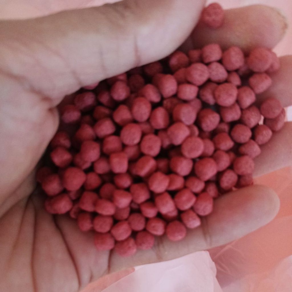Taisho Pakan Koi 1KG
