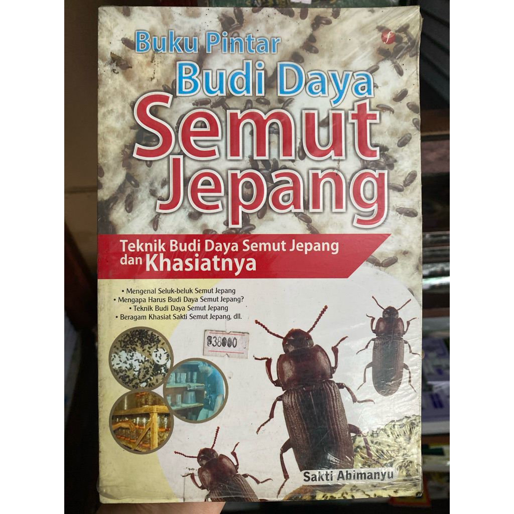 BUDIDAYA SEMUT JEPANG