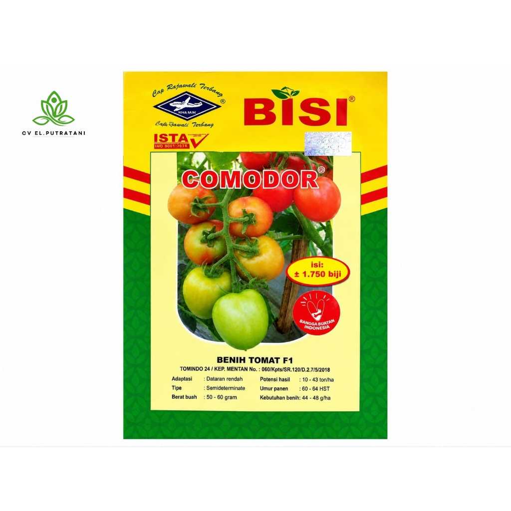 Benih Tomat Comodor 1750BIJI Cap Kapal Terbang / Benih Tomat Comodor
