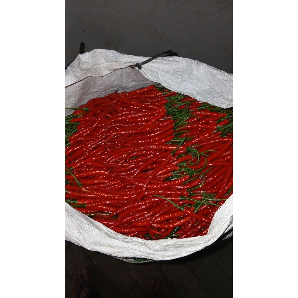 cmk 42 cabe merah keriting lokal temanggung lombok kriting abang fress
