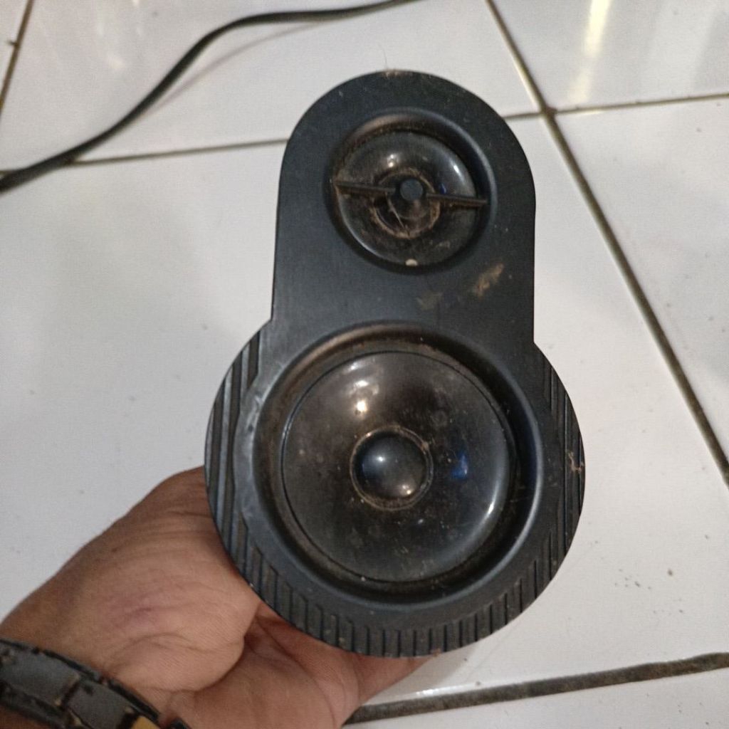 Speaker twitter 2 way