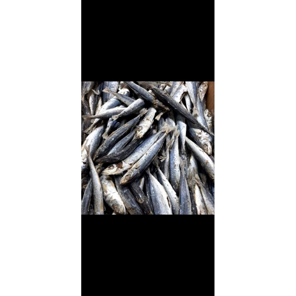 ikan sampah asin tongkol rebusan Medan..berat 250 gram