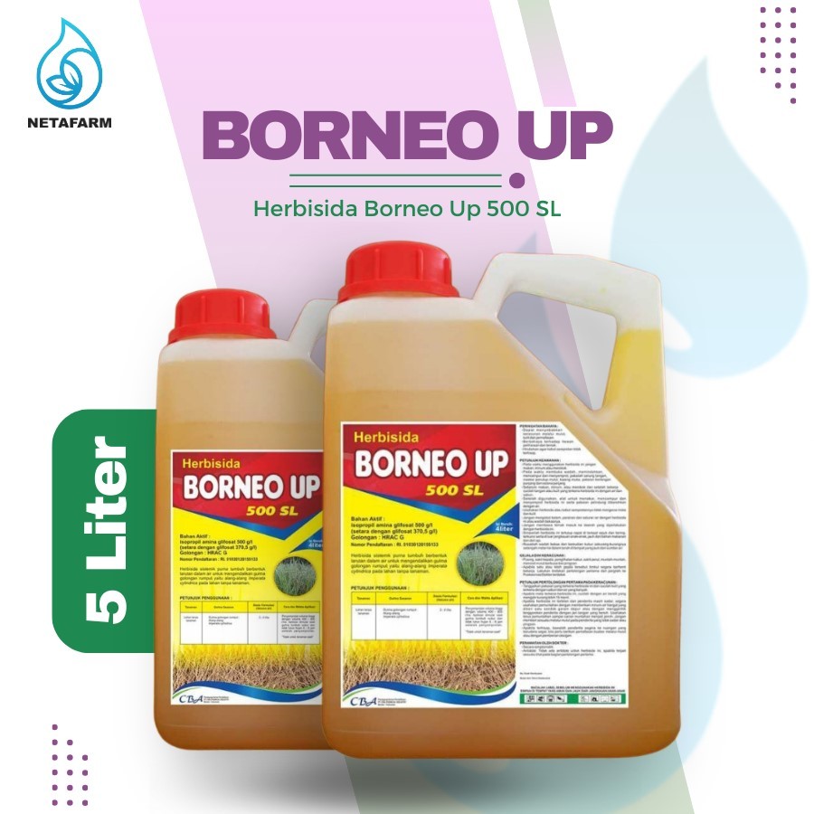 HERBISIDA BORNEO UP 500 SL PEMBASMI ANEKA GULMA - 5 LITER