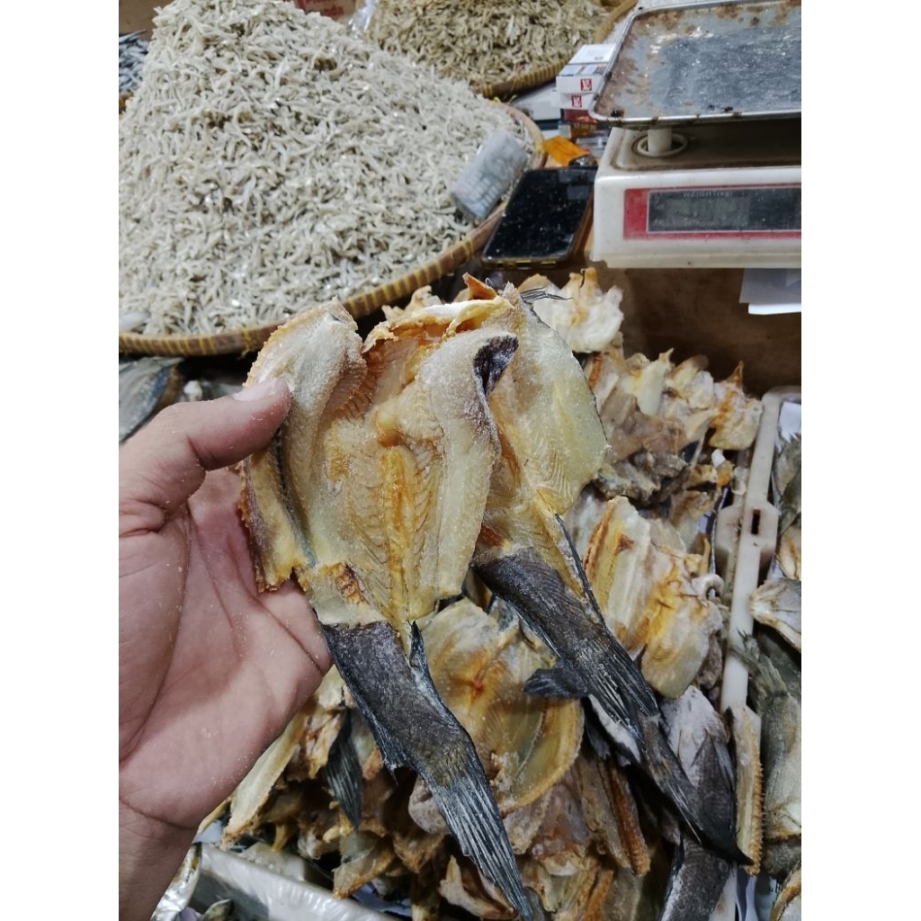 ikan asin gabus kering asin super