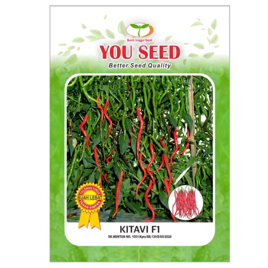 Benih Cabe Merah Keriting Kitavi F1 Isi 500 Butir - Cabai Keriting Hibrida Cap You Seed