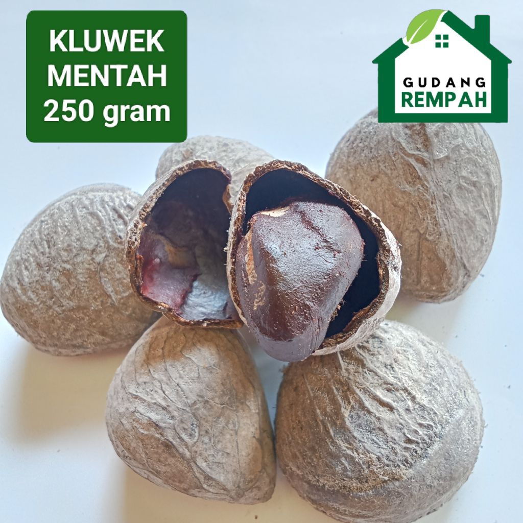 250 gram - KLUWEK mentah - penyedap - penambah rasa