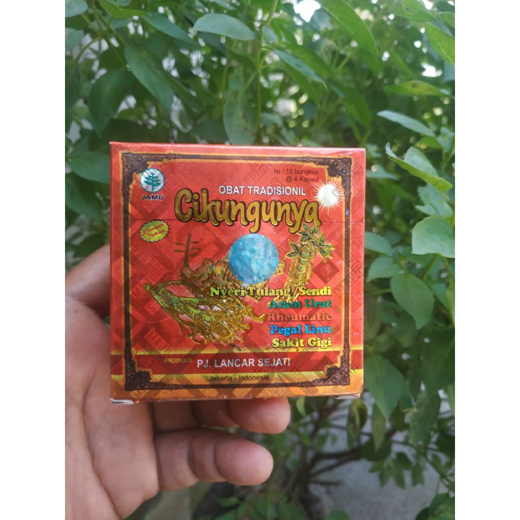 kapsul jamu cikungunya original