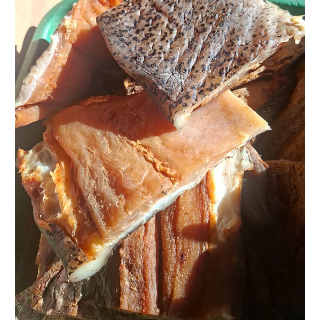 Ikan belut laut kering/tuna