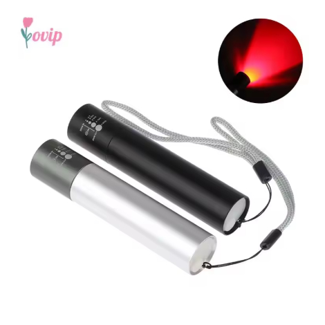 Portable Led Near Infrared Infra 850nm Handheld Medical Lamp 660nm LED Red Light Therapy torch Thera