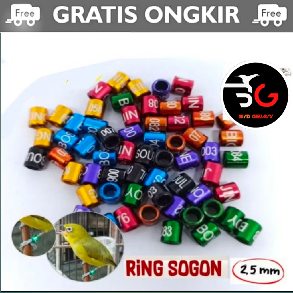RING BURUNG PLECI KONIN DIAMETER  2.5 MM