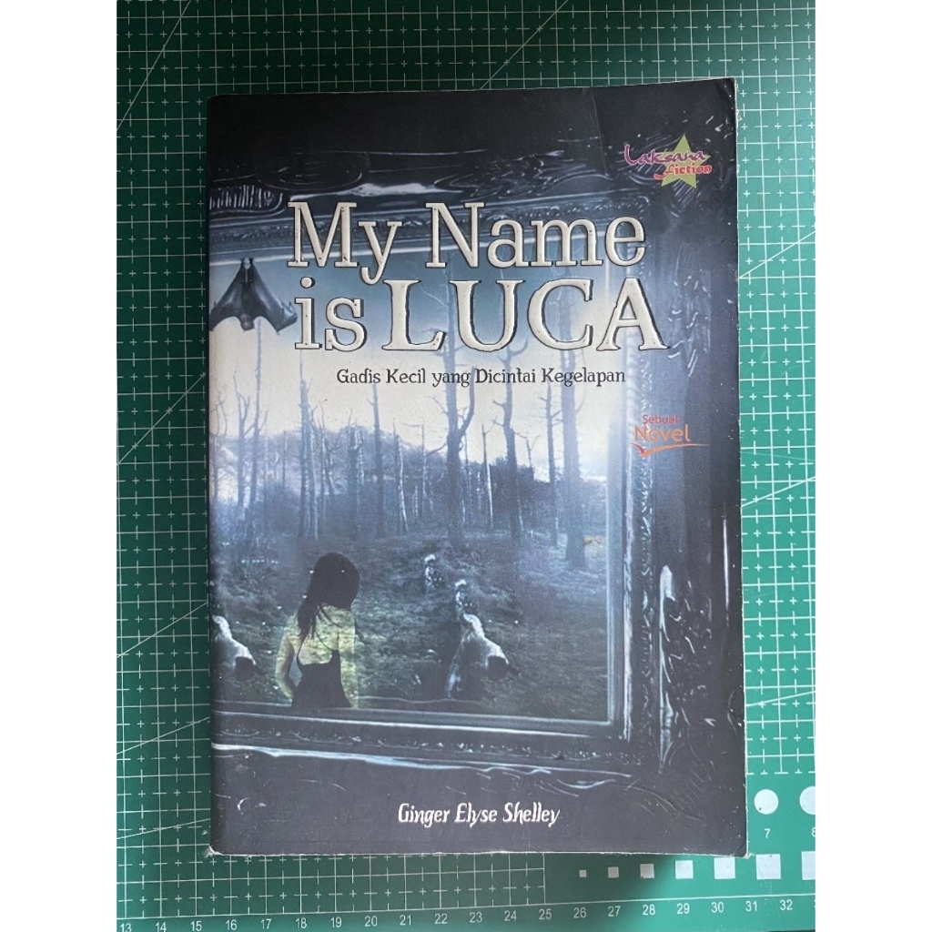 My Name is LUCA  - Ginger Elyse Shelley