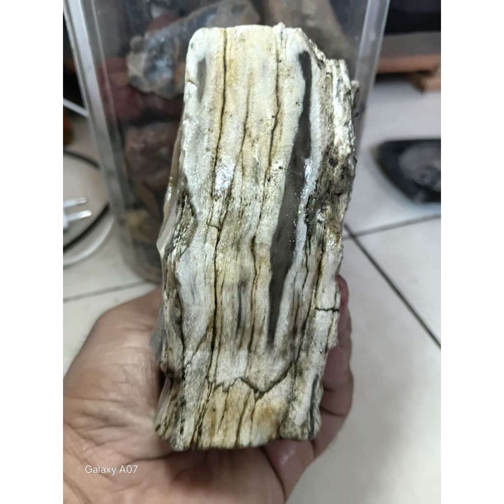 BATU FOSIL KAYU KELOR SUPER CRYSTAL