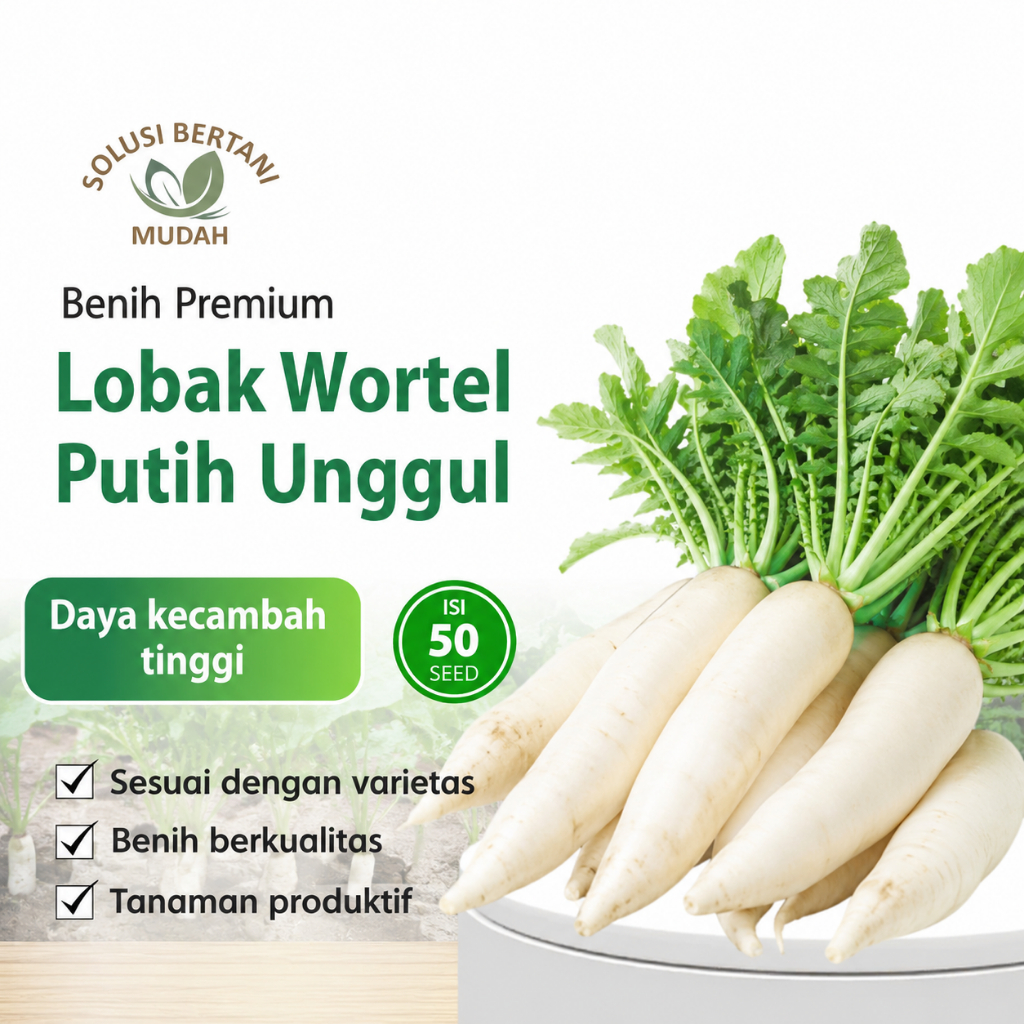 Benih Lobak Putih Hibrida Super Unggul | Umbi Besar dan Renyah