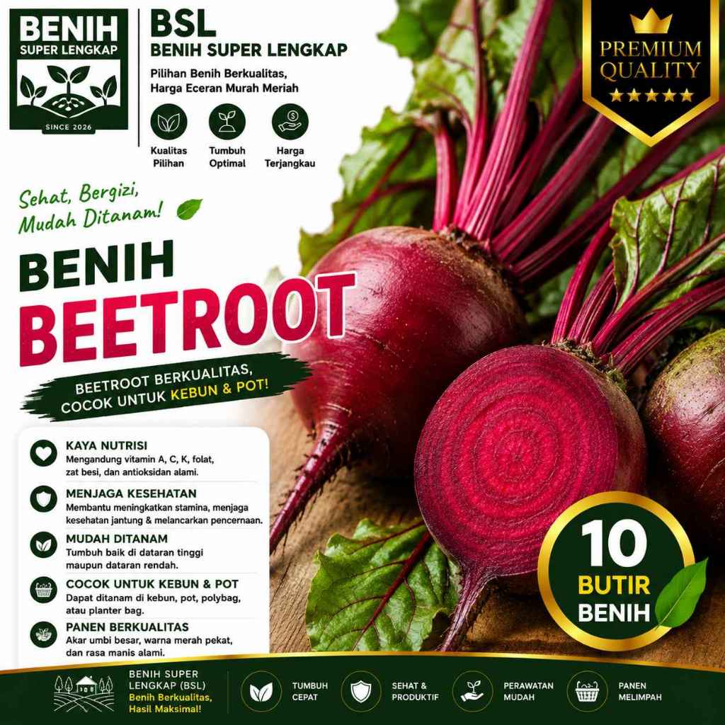 ( 10 Butir ) Benih Biji Buah Bit | Beetroot | Buah Beet | Ubi Bit | UKI BIBIT