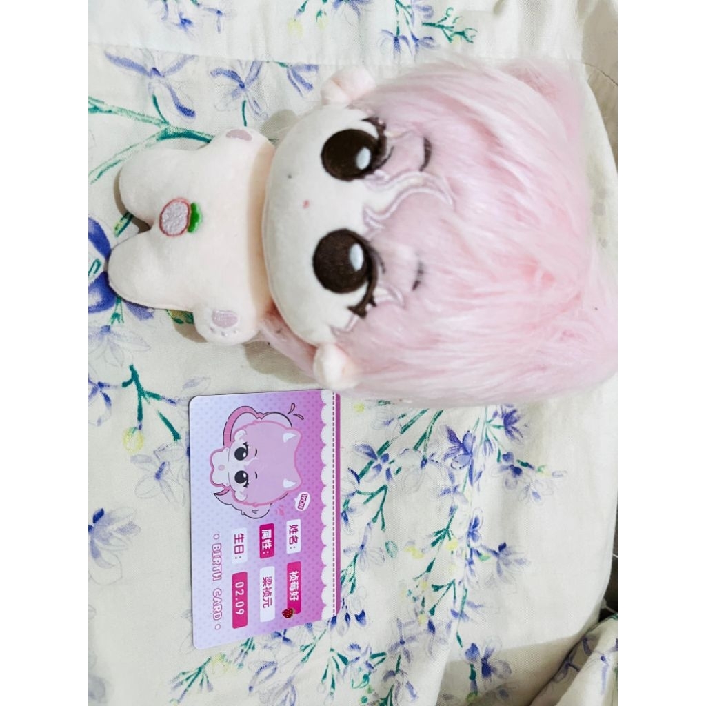 wts doll jungwon zhenmeihao fullset id card + ears