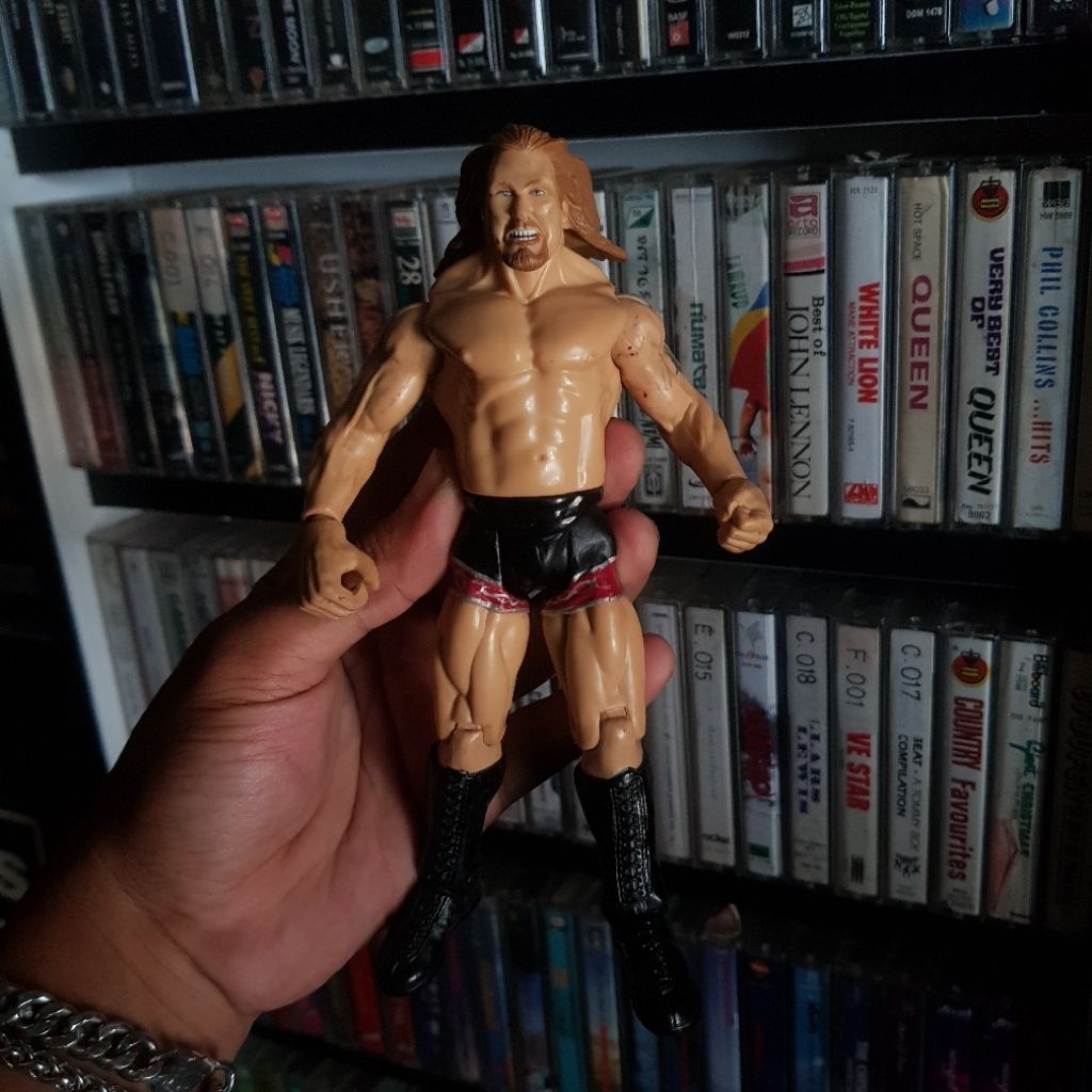 Action figure wwe loose