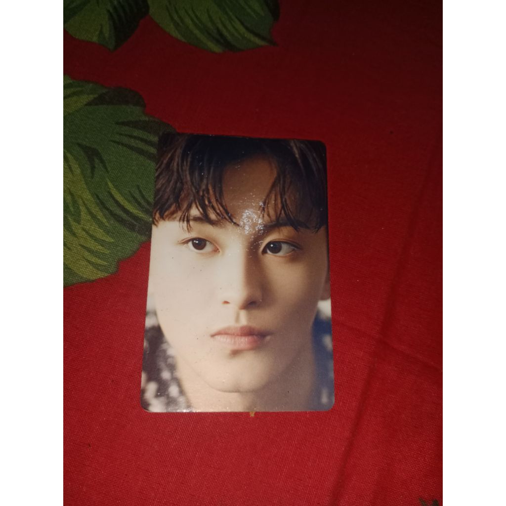 Wts photocard official mark dicon 101