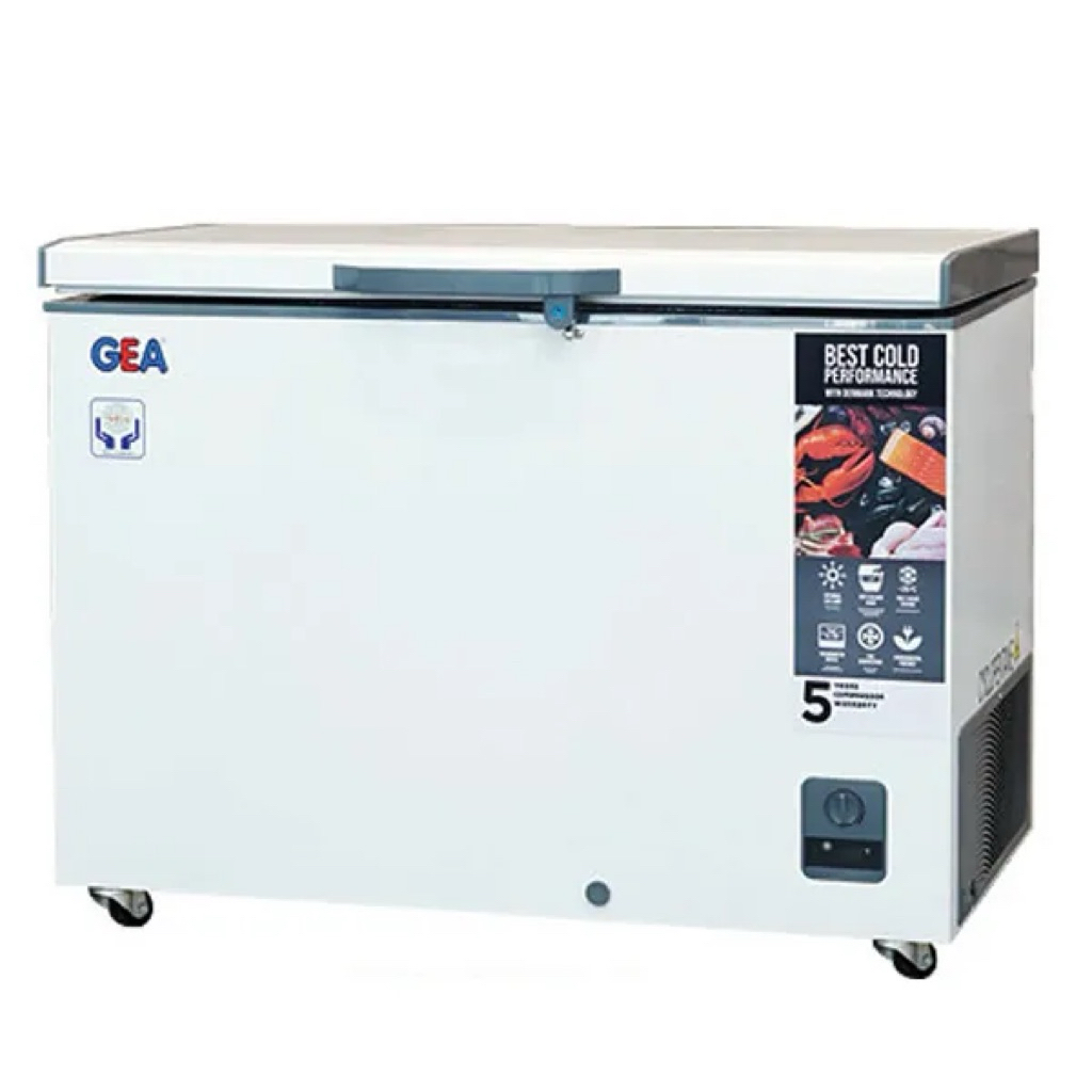 Freezer Box GEA 300 Liter
