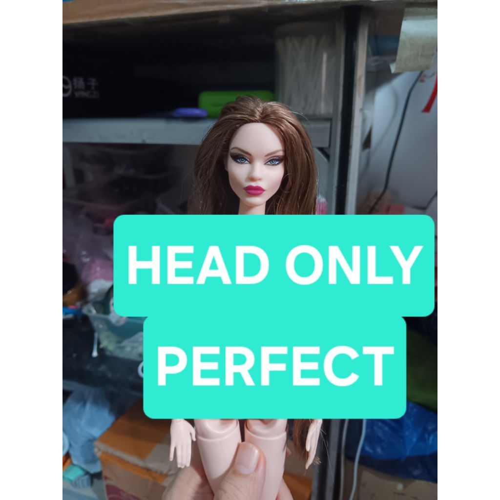 head only/barbie collector/barbie kolektor/kepala barbie kolektor