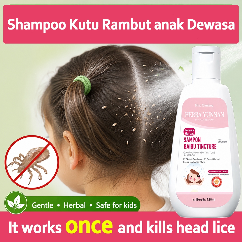 Shampo Kutu Rambut Anak dan Dewasa shampo anti kutu herbal shampo kutu rambut kutu kepala rambut ala